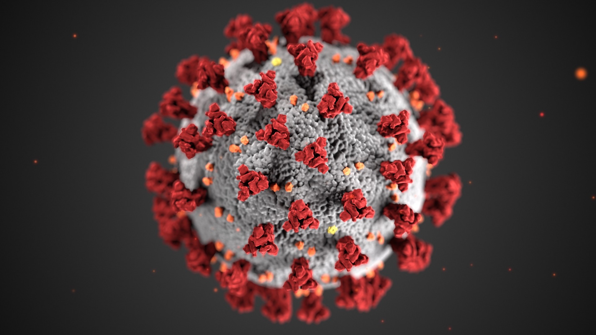 Corona-Virus COVID-19